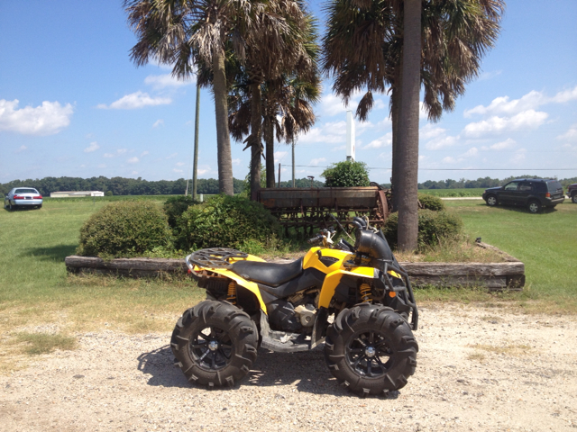 Smart CanAm Renegade 2010 photo 1