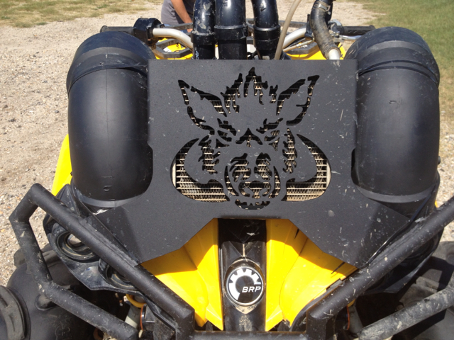 Smart CanAm Renegade 2010 photo 4