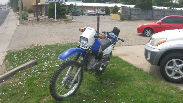 Suzuki DL200 2004 photo 1