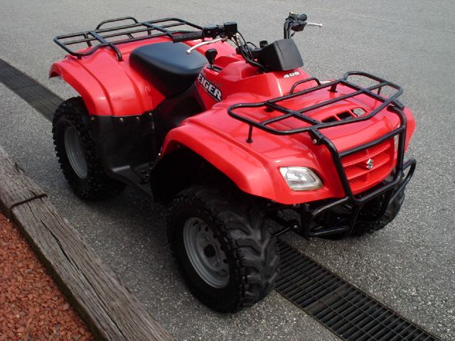 Suzuki Eiger 400 2007 photo 2