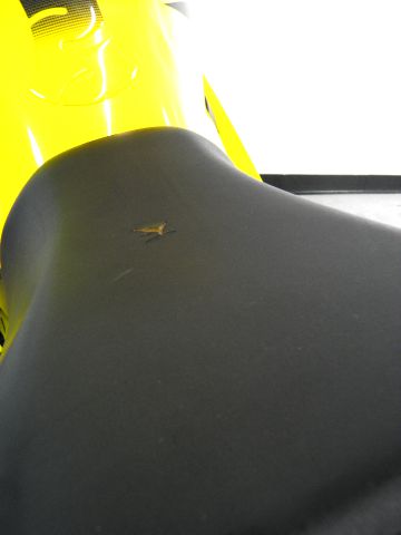 Suzuki GSX-R600K5 2005 photo 10