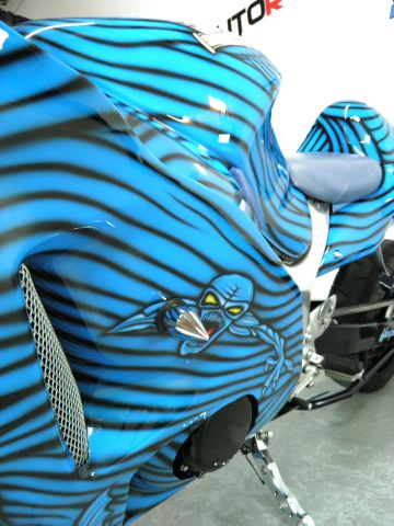 Suzuki GSX1300RK6 HAYABUSA 2006 photo 9