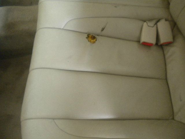 Toyota Avalon 2001 photo 3