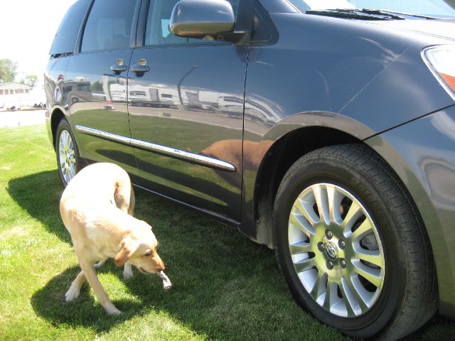 Toyota Sienna 2008 photo 14