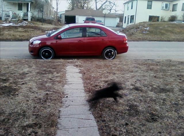 Toyota Yaris 2008 photo 5