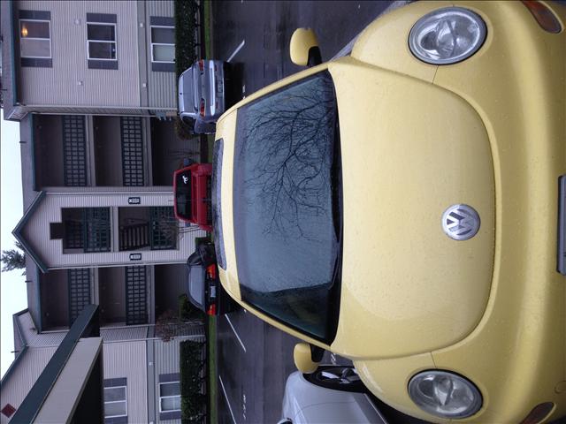 Volkswagen Beetle 2003 photo 2