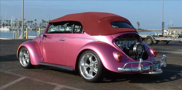 Volkswagen Cabriolet LT Ducks Unlimited Convertible