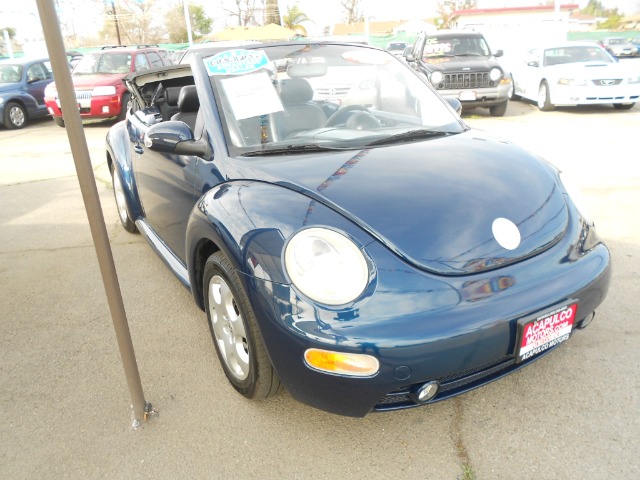 Volkswagen New Beetle 2003 photo 2