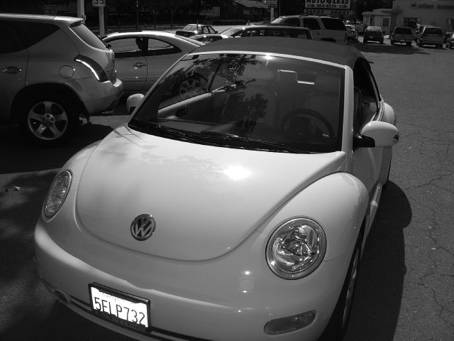 Volkswagen New Beetle 2004 photo 1