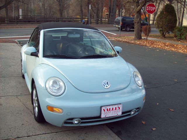 Volkswagen New Beetle 2005 photo 2