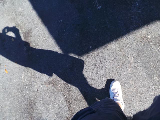 Volkswagen New Beetle Limited Wagon Hatchback