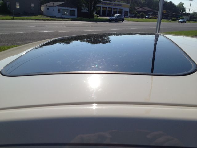 Volkswagen New Beetle 2006 photo 7