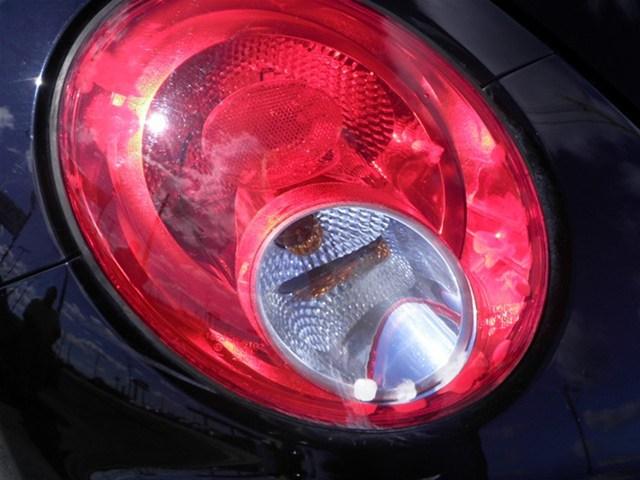 Volkswagen New Beetle 2007 photo 5