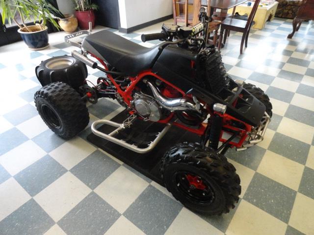 YAMAHA BANCHEE 2001 photo 4