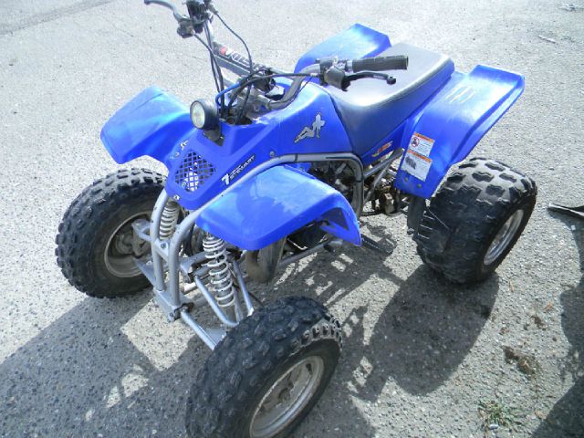 YAMAHA Blaster 2000 photo 1